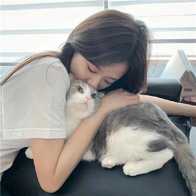 明月守护者